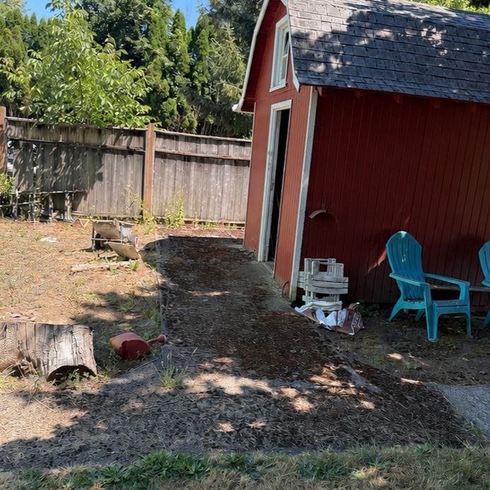 Driveway and siding before — moss, mold, and mildew buildup